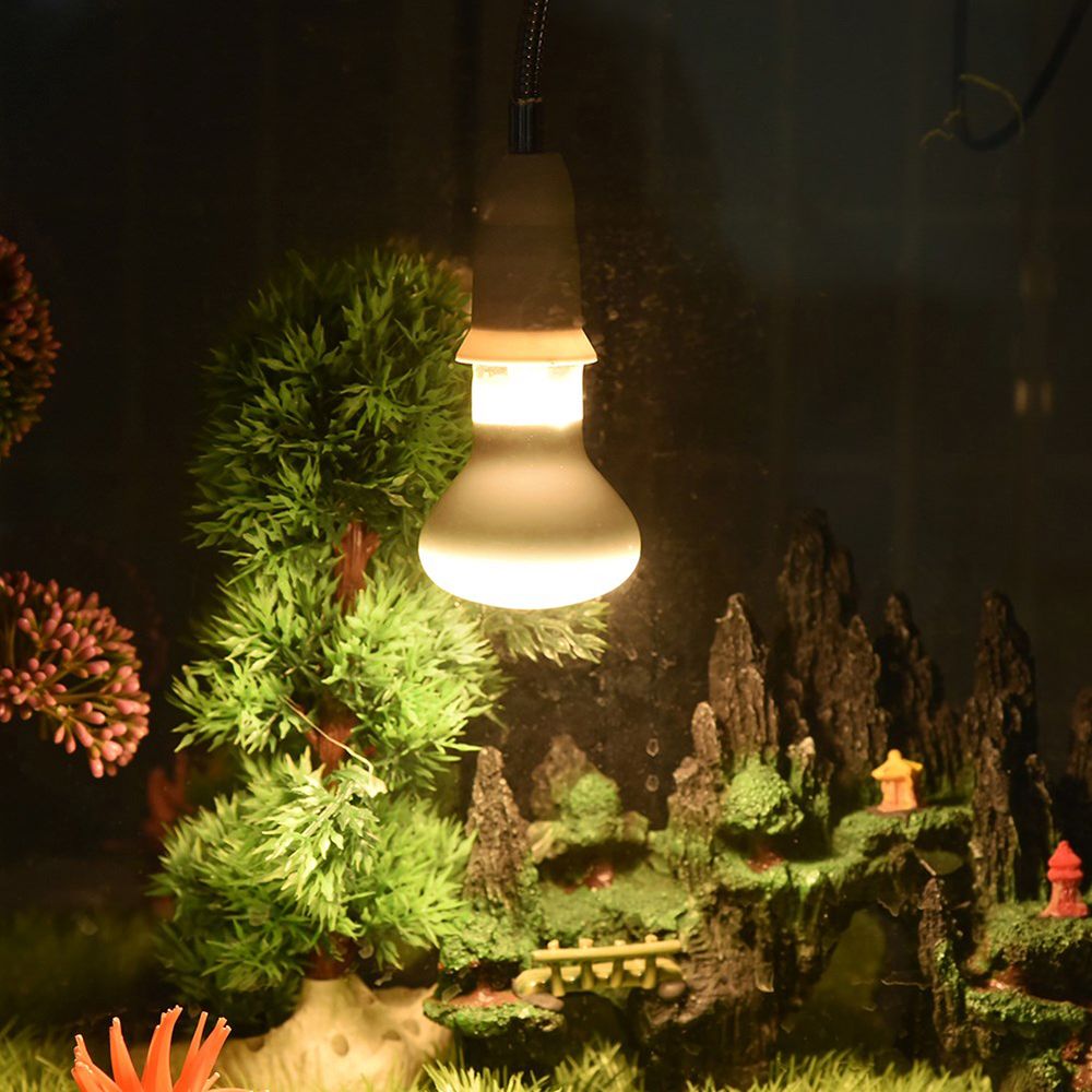 両生類用温度調節器ヒーター、ハロゲン電球、UVAライト、爬虫 - Basking Bulb Halogen のレビューと価格