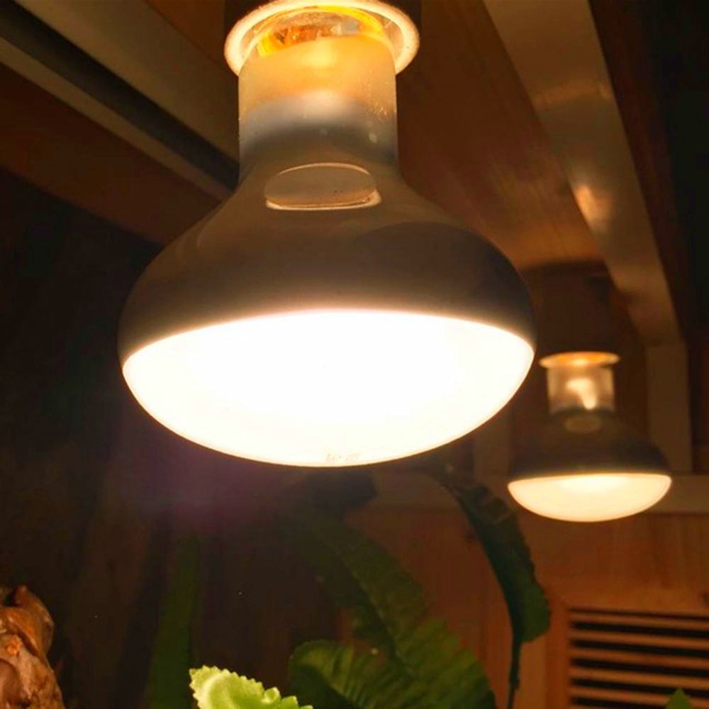 カメ用ヒーター、爬虫類用保温ランプ、UVAライト、ハロゲン電 - Basking Bulb Halogen のレビューと価格