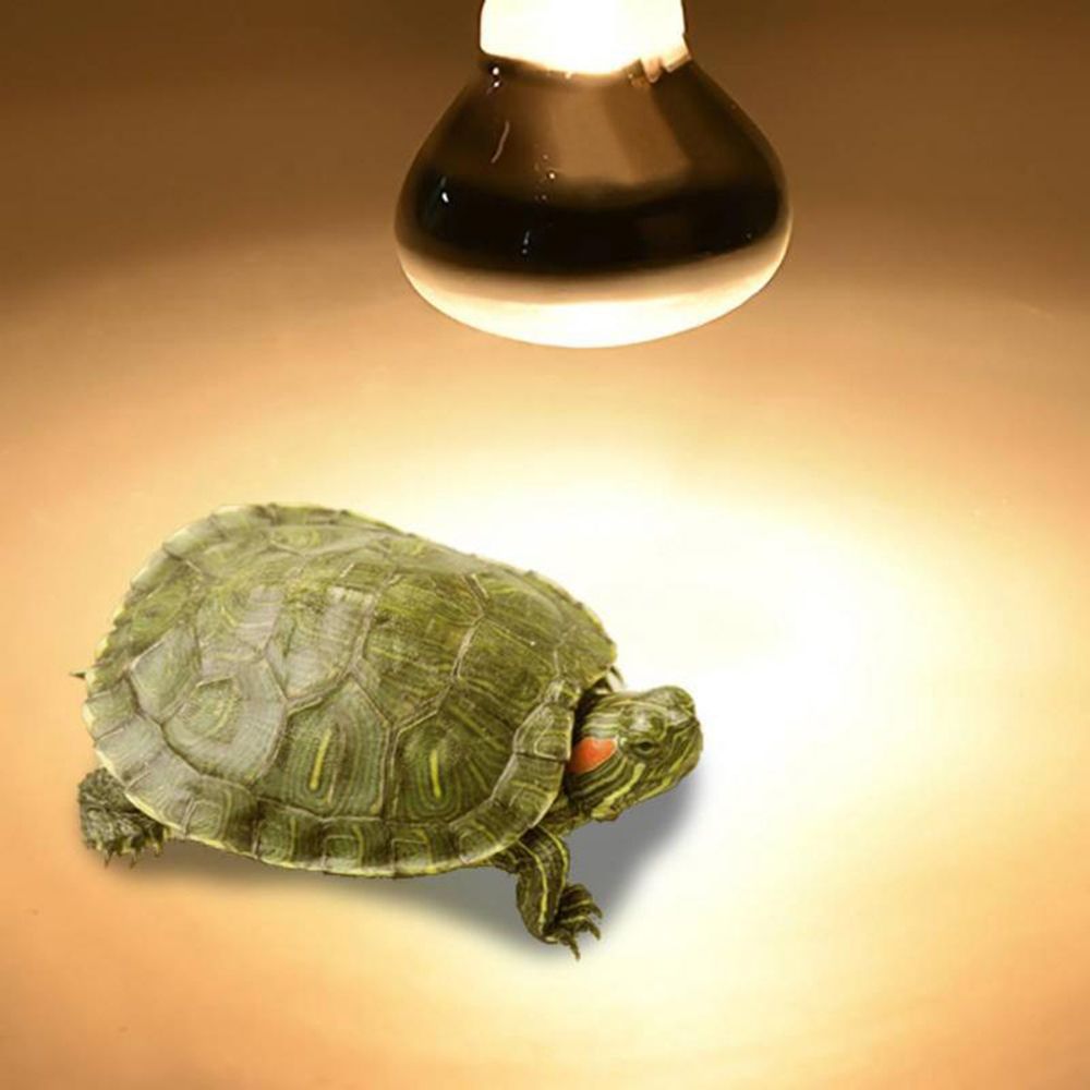 カメ用ヒーター、爬虫類用保温ランプ、UVAライト、ハロゲン電 - Basking Bulb Halogen のレビューと価格