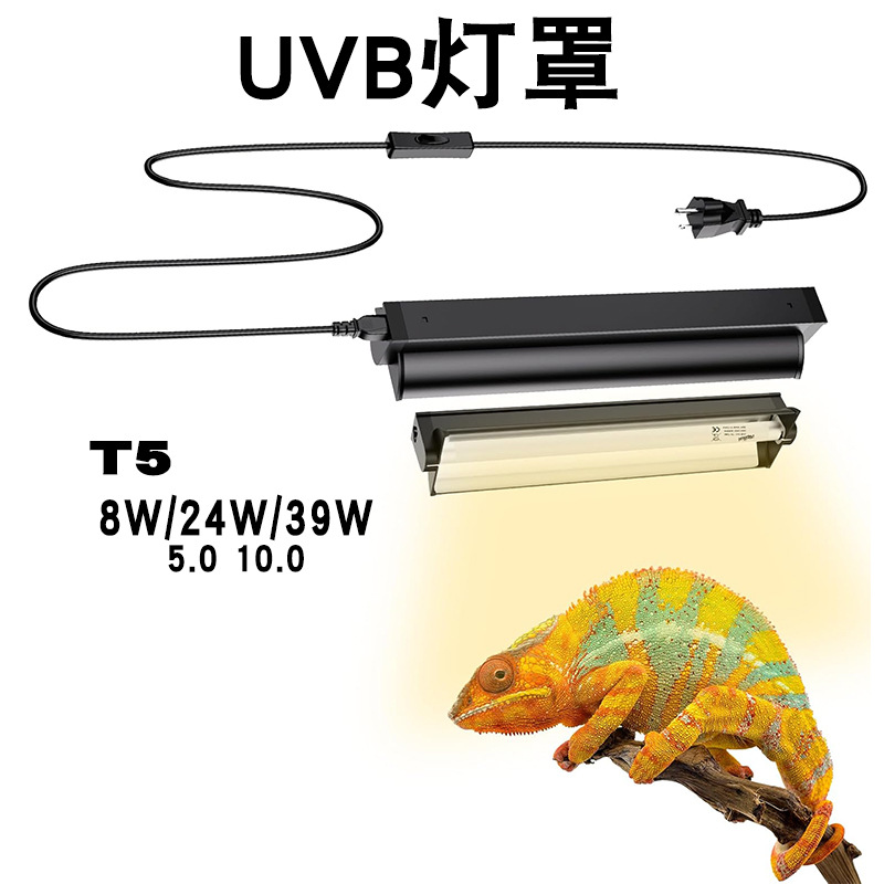 T5 UVBランプ一体型固定ガラス水槽付き爬虫類ライトキット - Calcium Powder Reptile のレビューと価格