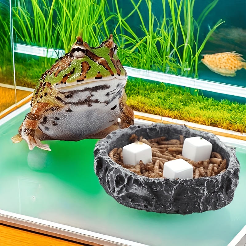 6個入り 魚タンク用カルシウムブロック ミネラル アクアリウ - Calcium Powder Reptile のレビューと価格