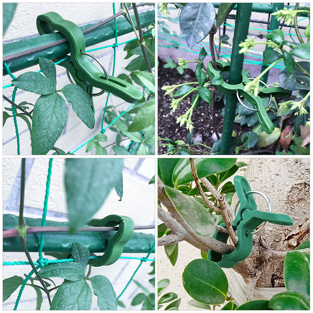 60個入り、ガーデン用植物固定クリップ、プラスチック製支柱ク - Vine Climbing Plastic のレビューと価格